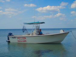 Fins-N-Grins Charter Fishing Boat - 2005 25 ft. Parker SE - side view