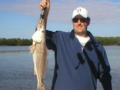 Red fish caught on a recent (November 2006) Fins N Grins Marco Island Charter Fishing Trip