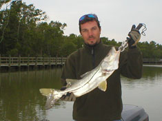Snook caught on a recent (November 2006) Fins N Grins Marco Island Charter Fishing Trip