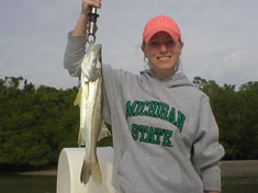 Snook caught on a recent (December 2006) Fins N Grins Marco Island Charter Fishing Trip