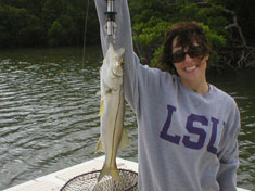 Snook, caught on our Marco Island sport fishing excursion.
