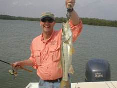 Fishing around Dismal Key, this Snook was landed with a great fight, nice catch and release! - Marco Island Fishing Charters