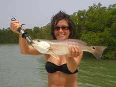 Tara out fishing her boy friend lands this nice Red fish in Sugar Bay - Marco Island Fishing Charters