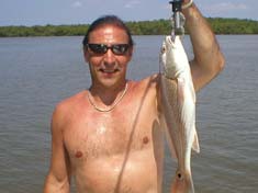 Nice Red fish caught while fishing the mangroves around Marco Island