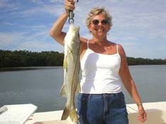 Beautiful Snook caught in Palm Bay - Marco Island Fishing Charters