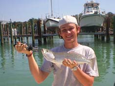 Nice Red fish caught while fishing the mangroves around Marco Island