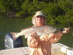 Over the slot Red caught by Whitehorse Key - Marco Island Fishing Charters
