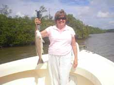 Nice Red Fish caught while on a back water fishing trip with Fins-N-Grins Marco Island Fishing Charters