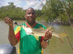 Snook caught on Marco Island fishing charters by Fins n Grins