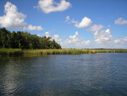 Marco Island fishing takes you into private estuaries where the worlds best fishing awaits!