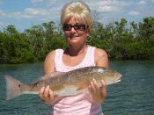 Even beginners catch the most amazing fish aboard the Fins n Grins charter fishing boat in Marco Island, Florida