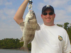 Black Drum caught on a recent (December 2006) Fins N Grins Marco Island Charter Fishing Trip