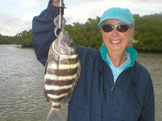 Sheepshead caught on a recent (December 2006) Fins N Grins Marco Island Charter Fishing Trip