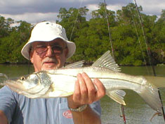 Snook caught on a recent (December 2006) Fins N Grins Marco Island Charter Fishing Trip