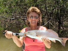 Marco Island Charter Fishing Trip Pictures of Redfish