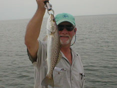 Spotted Sea Trout,caught while fishing the flats - Marco Island Fishing Charters