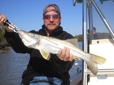 Large Snook, caught up in Buttonwood bay - Marco Island Fishing Charters