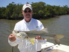 Throwing jigs up towards the mangrove trees lands anoter big Snook in the Blackwater River - Marco Island Fishing Charters