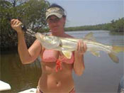 Snook caught by woman passenger on her Marco Island fishing trip aboard Fins n Grins
